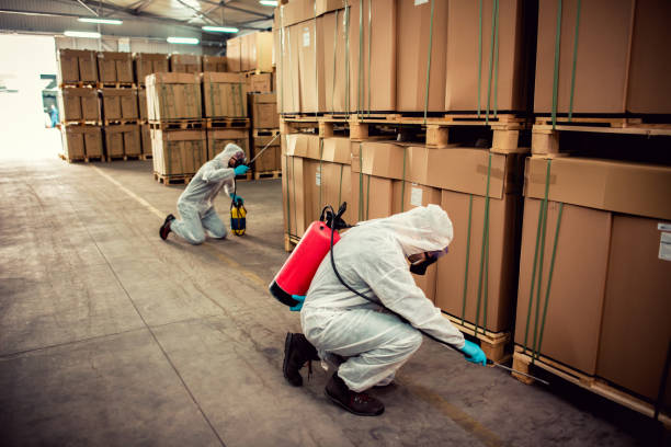 Best Pest Removal Services  in Fort Branch, IN