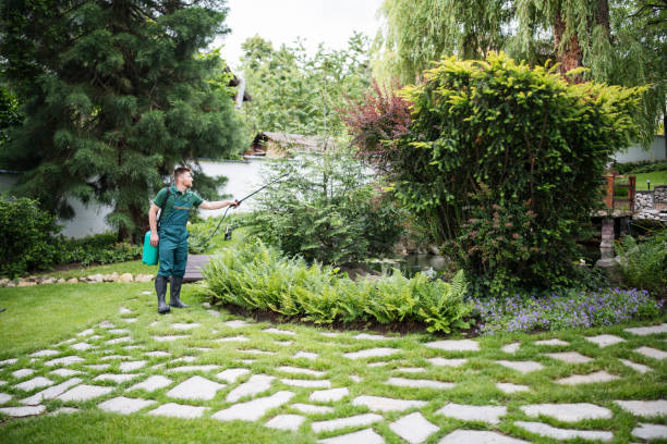 Best Ant Control Services  in Fort Branch, IN