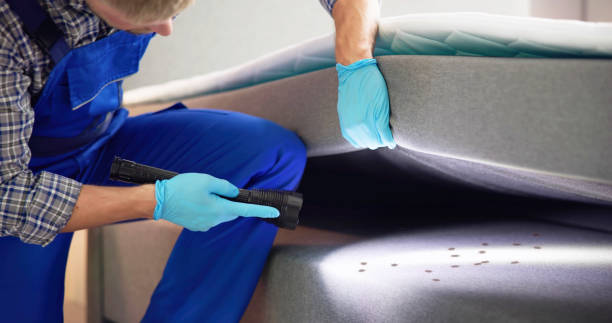 Reliable Fort Branch, IN Pest Control Solutions